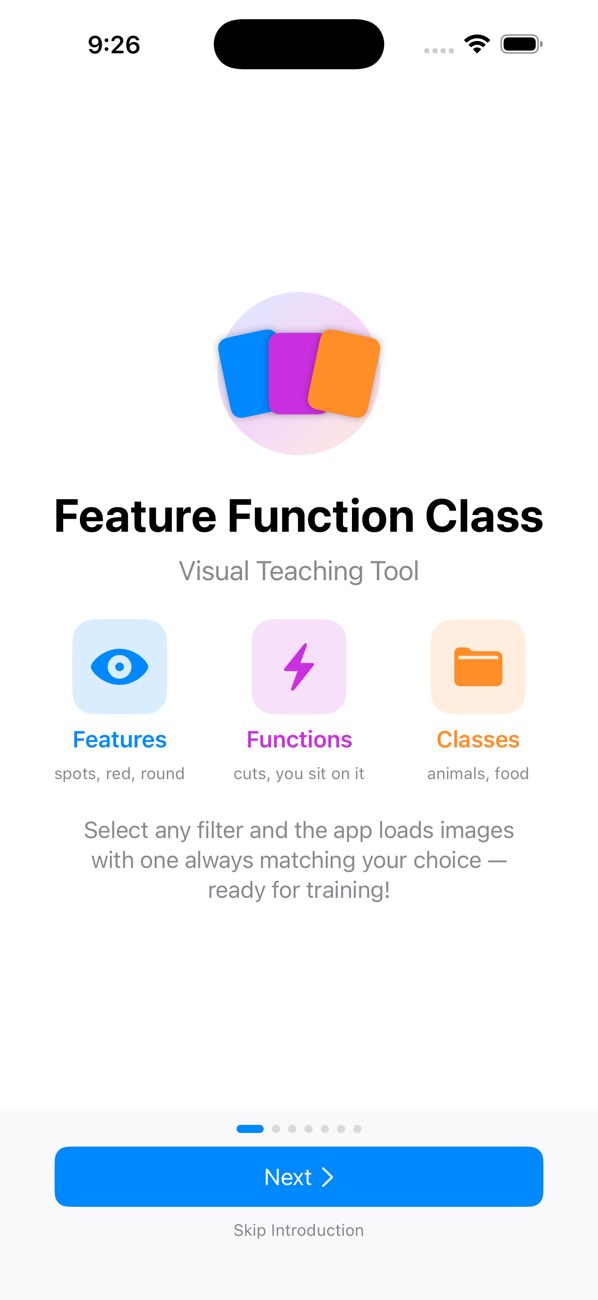 Feature Function Class
