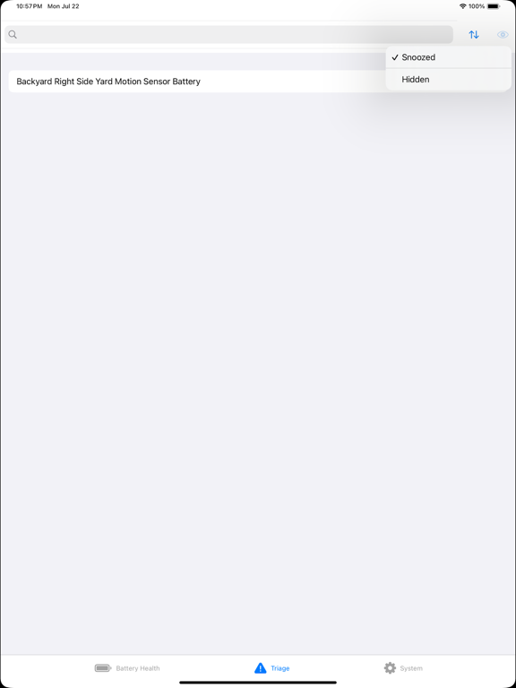 iPad screenshot